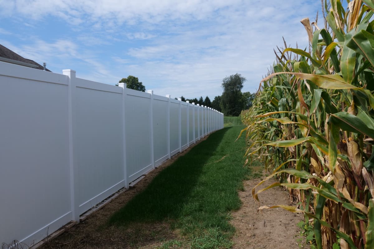 Vinyl fence line in winter conditions for a vinyl versus wood comparison